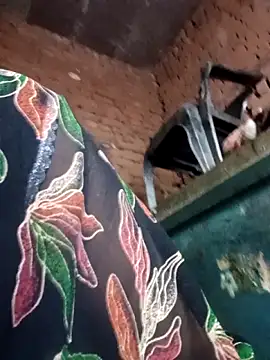 Rashili jaan online show from February 11, 3:39 pm