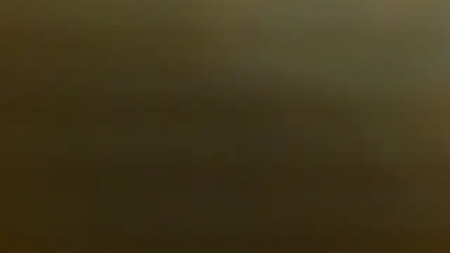 criss zuri online show from December 2, 12:21 pm