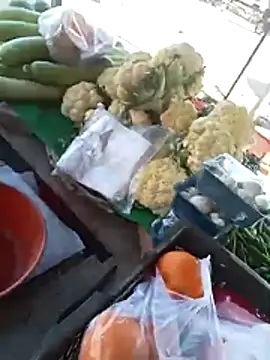 playboy31top online show from February 8, 9:23 am