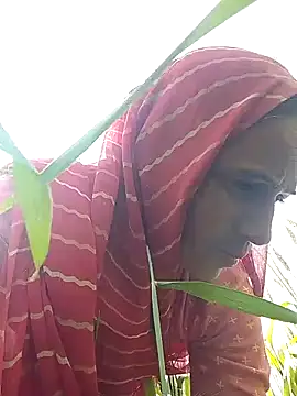 Jalebi bay online show from February 11, 9:14 am