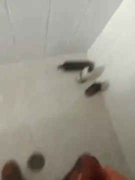 Snapshot of pitoduroparati chatting on February 7, 11:52 pm pitoduroparati online show from February 7, 11:52 pm