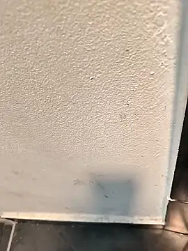 penchis90 online show from December 14, 2:22 pm