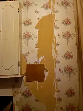 AdmirableAlert781 online show from November 1, 12:23 am