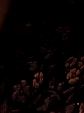 Bebby Doll online show from February 3, 7:46 am