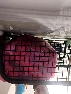 Ferxxxo1503 online show from November 5, 6:24 am