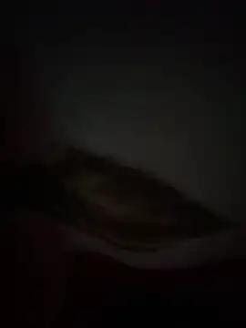 Snapshot of Flash356 chatting on February 24, 9:13 pm Flash356 online show from February 24, 9:13 pm