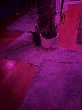 twunkwitadunk online show from November 22, 3:22 pm