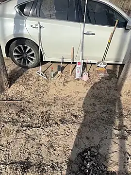 Snapshot of Fengbaby-555 chatting on February 3, 6:22 am Fengbaby-555 online show from February 3, 6:22 am