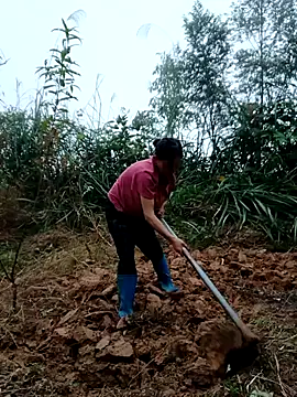 kemtuoi-sex online show from October 31, 8:37 am