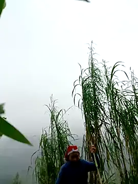 Snapshot of kemtuoi-sex chatting on April 1, 2:56 am kemtuoi-sex online show from April 1, 2:56 am