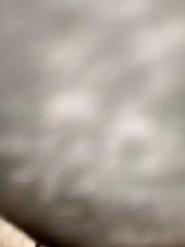 Chanderi19 online show from November 24, 3:17 am