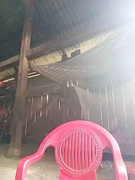 Snapshot of riso-00 chatting on October 21, 5:08 am riso-00 online show from October 21, 5:08 am