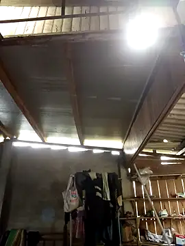 Snapshot of SSexykute3456 chatting on October 4, 3:15 am SSexykute3456 online show from October 4, 3:15 am