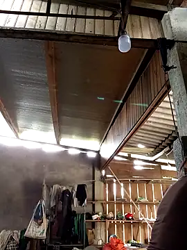 Snapshot of SSexykute3456 chatting on October 17, 3:10 am SSexykute3456 online show from October 17, 3:10 am