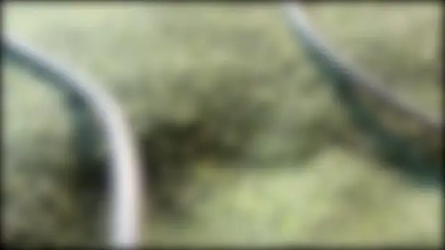 AzureEyes online show from February 24, 2:37 pm