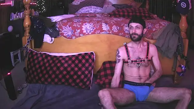 HarmoniousPhantasm3 online show from November 4, 12:21 am