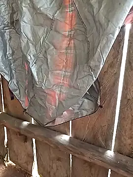 bonnie-00 online show from November 4, 3:16 am