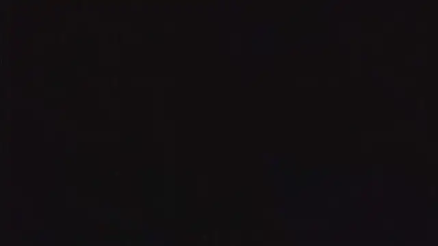 SienaWild online show from December 22, 5:32 pm