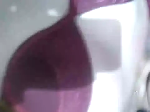 Cachorrinha2025 online show from September 21, 7:54 am