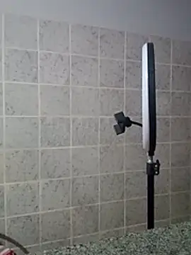 Cachorrinha2025 online show from April 6, 3:59 am