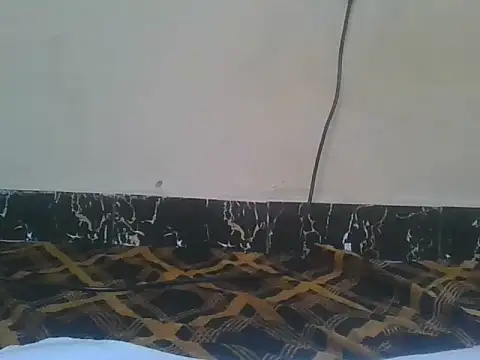Snapshot of Naughty_queen20 chatting on April 13, 7:47 am Naughty queen20 online show from April 13, 7:47 am