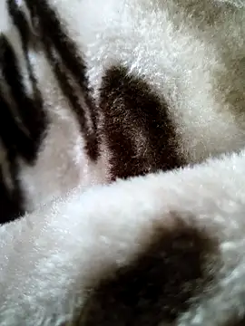 bold guy 1234 online show from December 17, 5:35 am