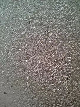 Snapshot of bold_guy_1234 chatting on March 30, 6:03 am bold guy 1234 online show from March 30, 6:03 am