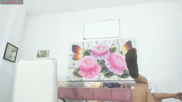 barbie ds online show from November 21, 12:04 pm