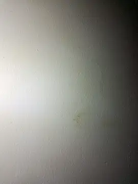 BigD Mikee online show from December 17, 4:46 pm