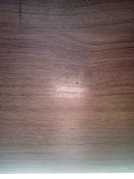 Snapshot of ValeriaLove43211 chatting on December 17, 7:36 am ValeriaLove43211 online show from December 17, 7:36 am