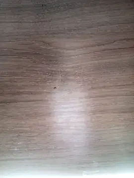 Snapshot of ValeriaLove43211 chatting on March 13, 6:31 am ValeriaLove43211 online show from March 13, 6:31 am