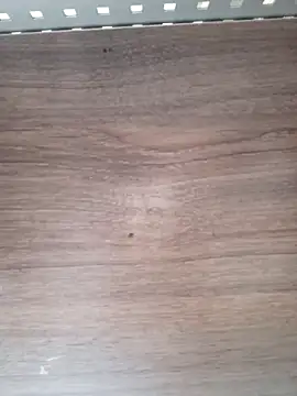 Snapshot of ValeriaLove43211 chatting on April 6, 7:53 am ValeriaLove43211 online show from April 6, 7:53 am