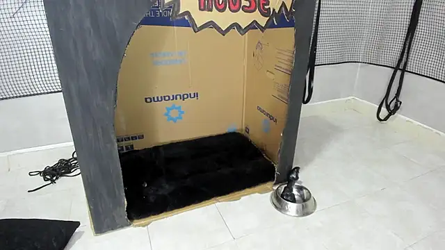 Snapshot of BDSM_MEDUZA chatting on February 13, 3:24 am BDSM MEDUZA online show from February 13, 3:24 am