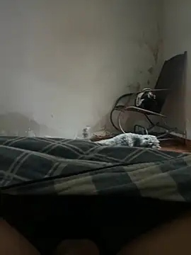 sambergSILVa online show from November 8, 12:38 pm