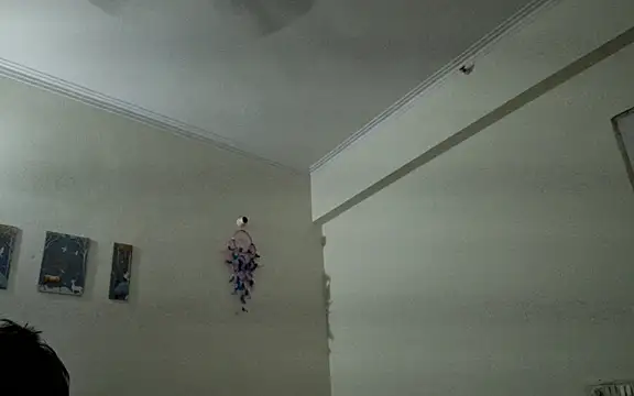 Aasmaan69Aranya online show from April 1, 9:56 pm