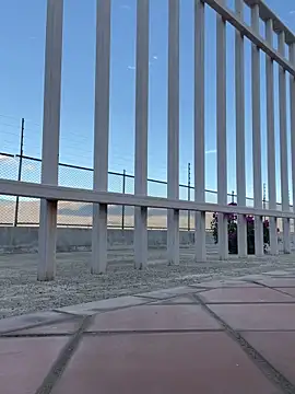 liahouses online show from September 28, 9:53 pm