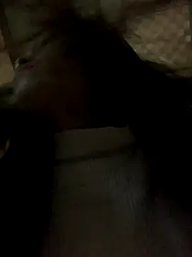 Snapshot of Halyy_xx chatting on November 8, 11:36 pm Halyy xx online show from November 8, 11:36 pm