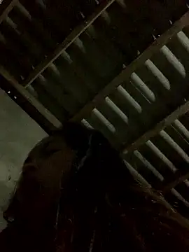 Snapshot of Halyy_xx chatting on January 12, 11:54 pm Halyy xx online show from January 12, 11:54 pm