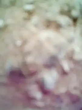 M-Kajal456 online show from November 4, 3:49 am