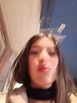 Snapshot of SALOME-28_ chatting on May 25, 11:33 pm SALOME-28 online show from May 25, 11:33 pm
