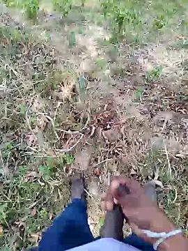 DICKLANKA online show from September 23, 8:28 am