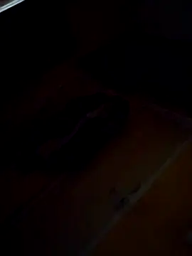 Snapshot of Sumitx007 chatting on September 24, 7:06 pm Sumitx007 online show from September 24, 7:06 pm