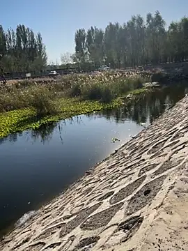 Tang-88 online show from October 26, 6:52 am