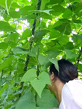 diamond-- online show from October 5, 12:31 am