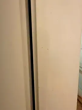 Snapshot of hhhajjib chatting on November 17, 5:19 pm hhhajjib online show from November 17, 5:19 pm