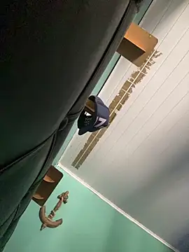 Ayla wiens online show from December 16, 2:33 pm