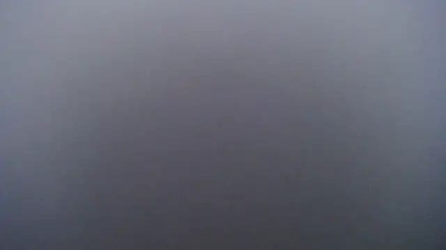 Juiceybileh online show from February 1, 2:48 pm