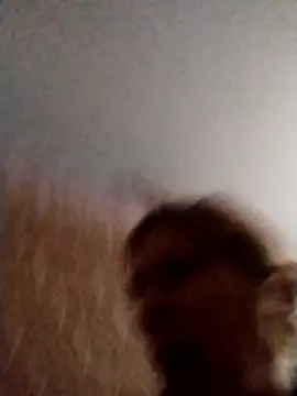 Ponka2011 online show from February 27, 5:51 am