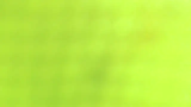 AnySugar online show from September 23, 2:36 am