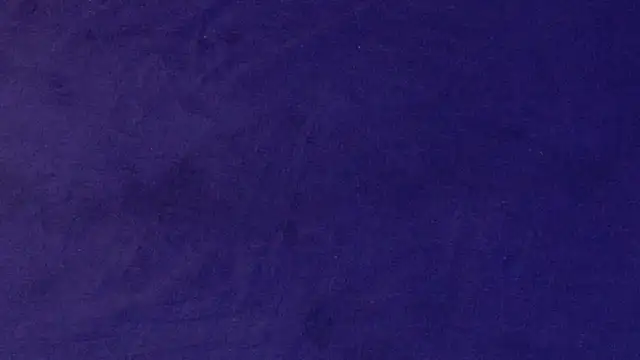 big bearr online show from October 12, 1:54 pm